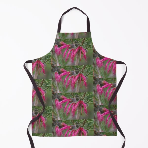 Item preview, Calothamnus rupestris designed and sold by lezvee.