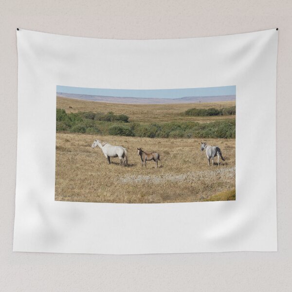 Item preview, Three Horses in a Field designed and sold by Vivar Photo.