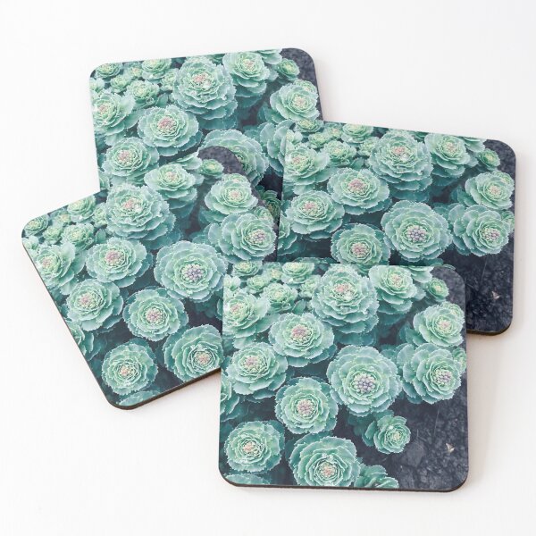 Item preview, Succulents designed and sold by EnjoyingDrawing.