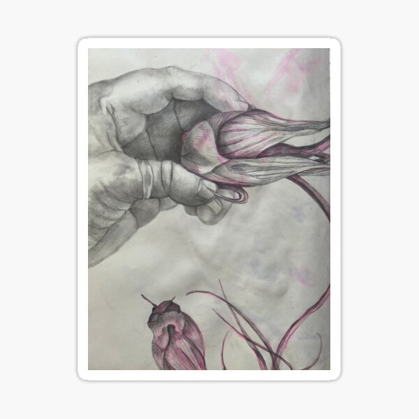 Hand Pod Study Sticker