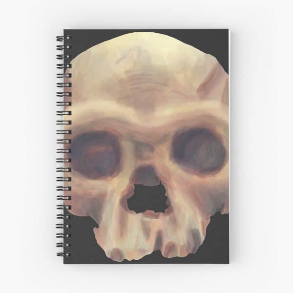 Item preview, Moroccan First Human Skull designed and sold by Casablabca.