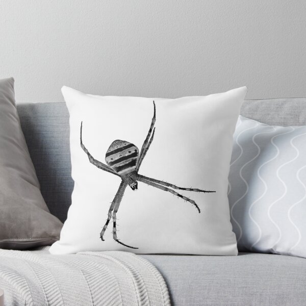 Item preview, Spider Chilling designed and sold by Bobfreckle.