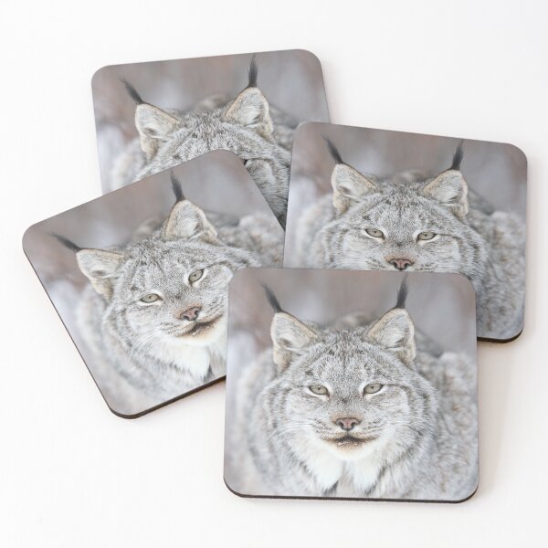 Item preview, Wild Canada Lynx Closeup designed and sold by mlorenz.