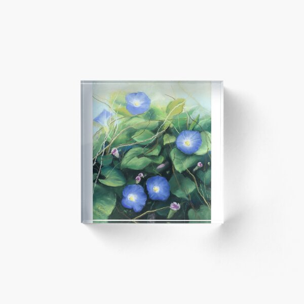 Morning Glory flowers Acrylic Block
