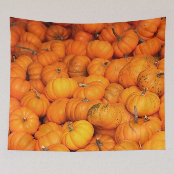 Item preview, Plenty of Petite Pumpkins designed and sold by Autumn Seas Photography.