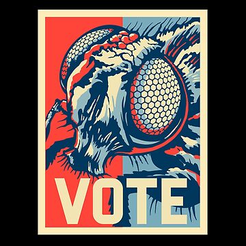 Artwork thumbnail, Vote Fly 2020 Debate WTFBrahh by WTFBrahh