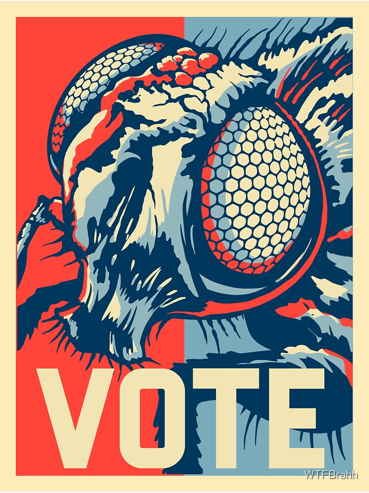 Vote Fly 2020 Debate WTFBrahh by WTFBrahh