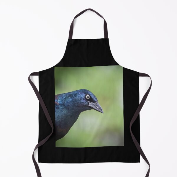 Item preview, Brewer's Blackbird or Grackle designed and sold by Banjoboy Art.