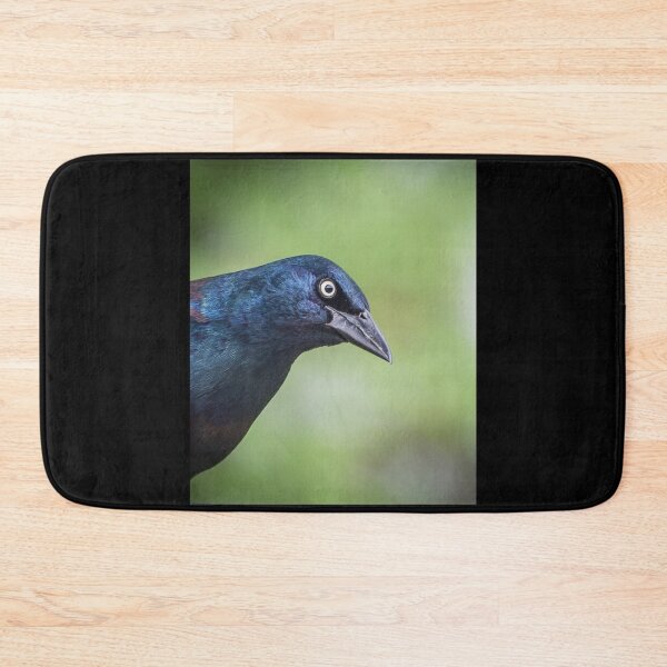 Item preview, Brewer's Blackbird or Grackle designed and sold by Banjoboy Art.