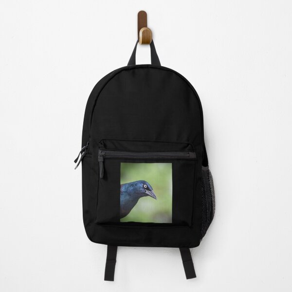 Item preview, Brewer's Blackbird or Grackle designed and sold by Banjoboy Art.