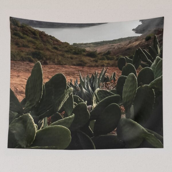 Item preview, Mirando por encima del cactus en Escondido, California designed and sold by heatherfriedman.