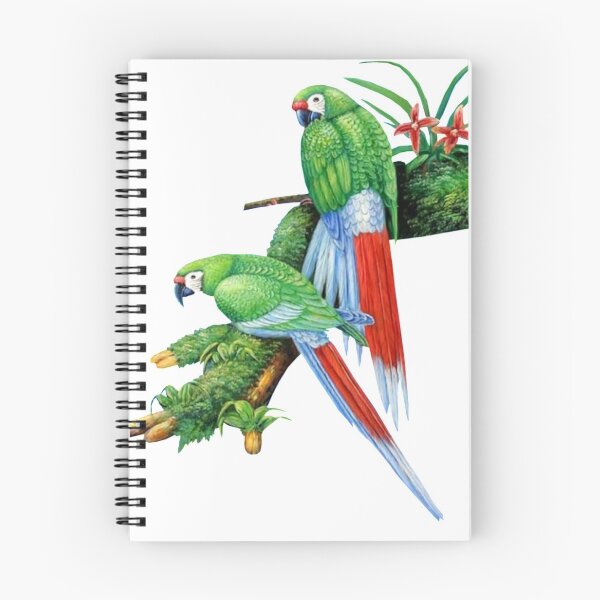 Item preview, Parrots: birds of paradise designed and sold by JamalRok04.