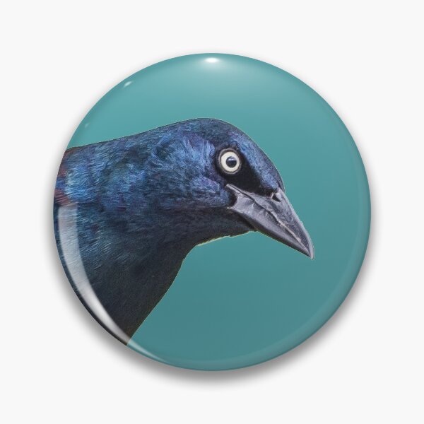 Item preview, Brewer's Blackbird or Common Grackle (2) designed and sold by Banjoboy Art.