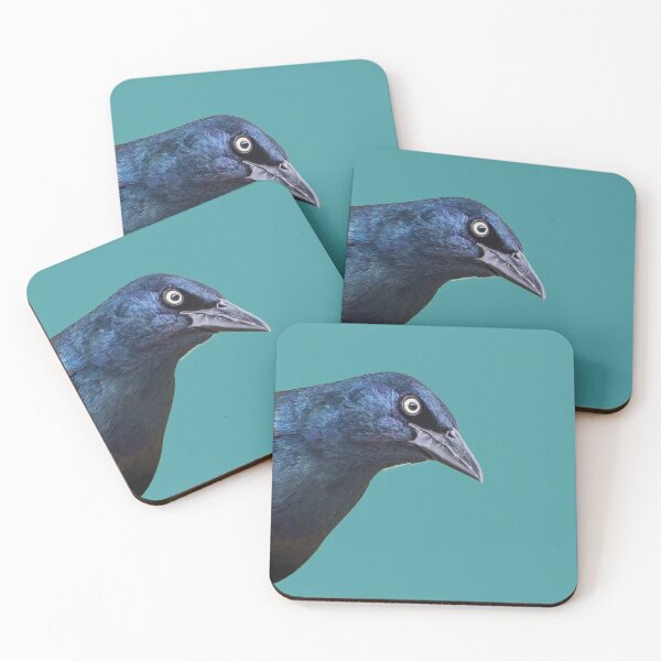 Item preview, Brewer's Blackbird or Common Grackle (2) designed and sold by Banjoboy Art.