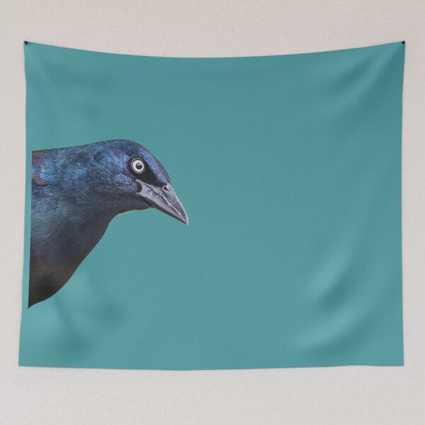 Item preview, Brewer's Blackbird or Common Grackle (2) designed and sold by Banjoboy Art.