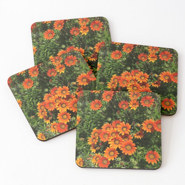 Item preview, African Daisy designed and sold by rileyo.