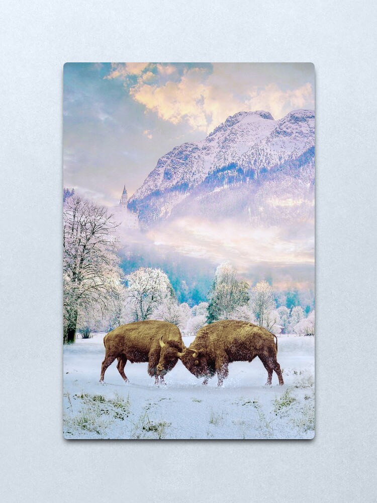 Alternate view of Bison Fighting in Snow Buffalo Art Metal Print
