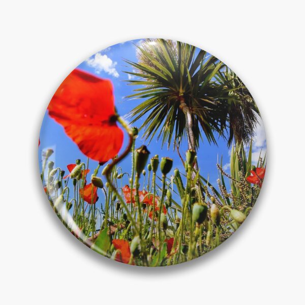 Item preview, Ramsgate poppies designed and sold by PhotoCDesign.