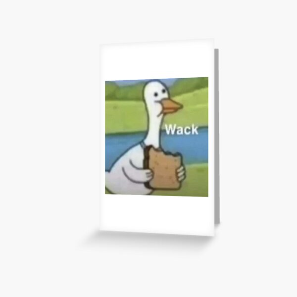 Duck Eating Bread Meme