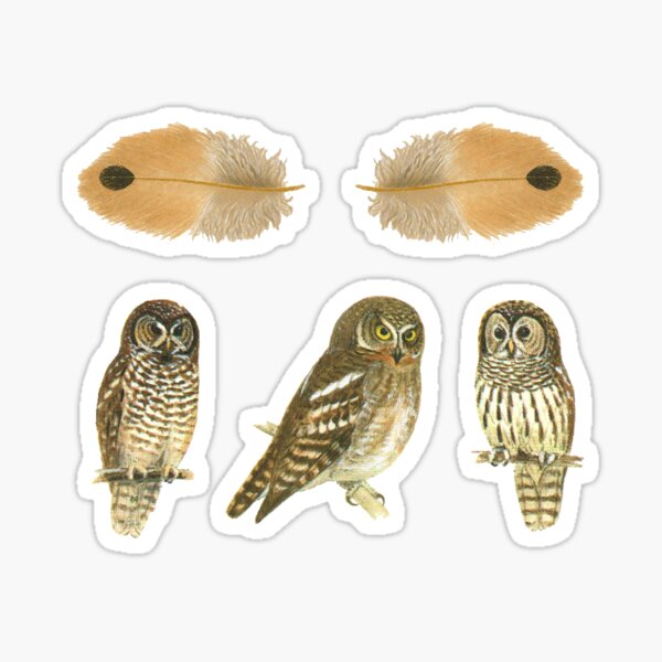 Item preview, Bird Sticker Pack No. 1 - Owls Collection Sheet designed and sold by elevens.