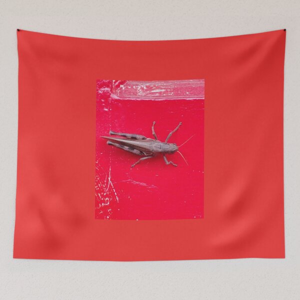 Item preview, Grasshopper red designed and sold by Cagedheart15.
