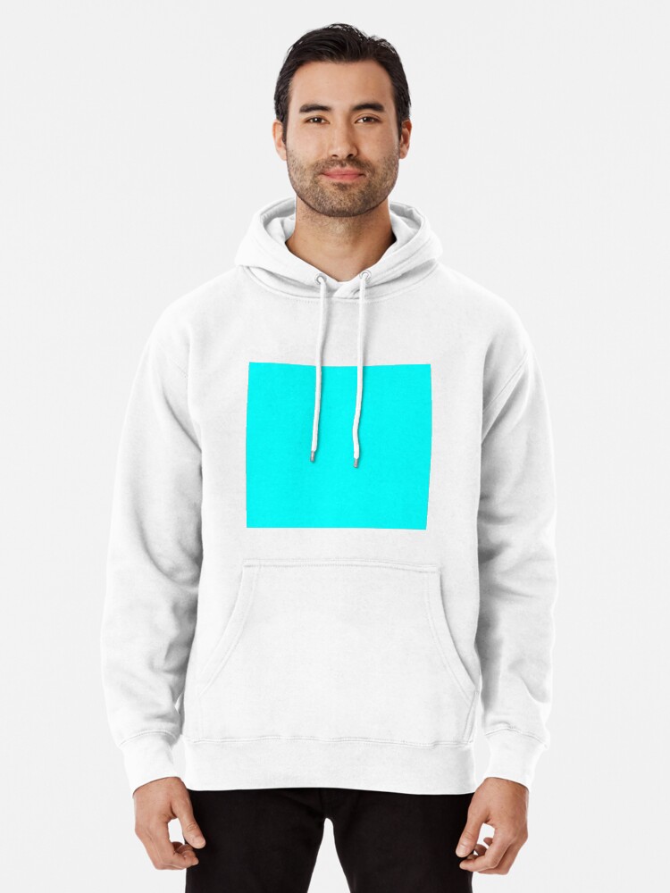 Aqua color hoodie on sale