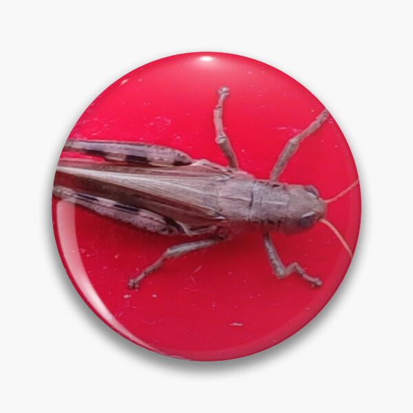 Item preview, Grasshopper red designed and sold by Cagedheart15.
