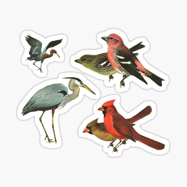 Item preview, Bird Sticker Pack No. 6 - Birdy Collection Sheet designed and sold by elevens.