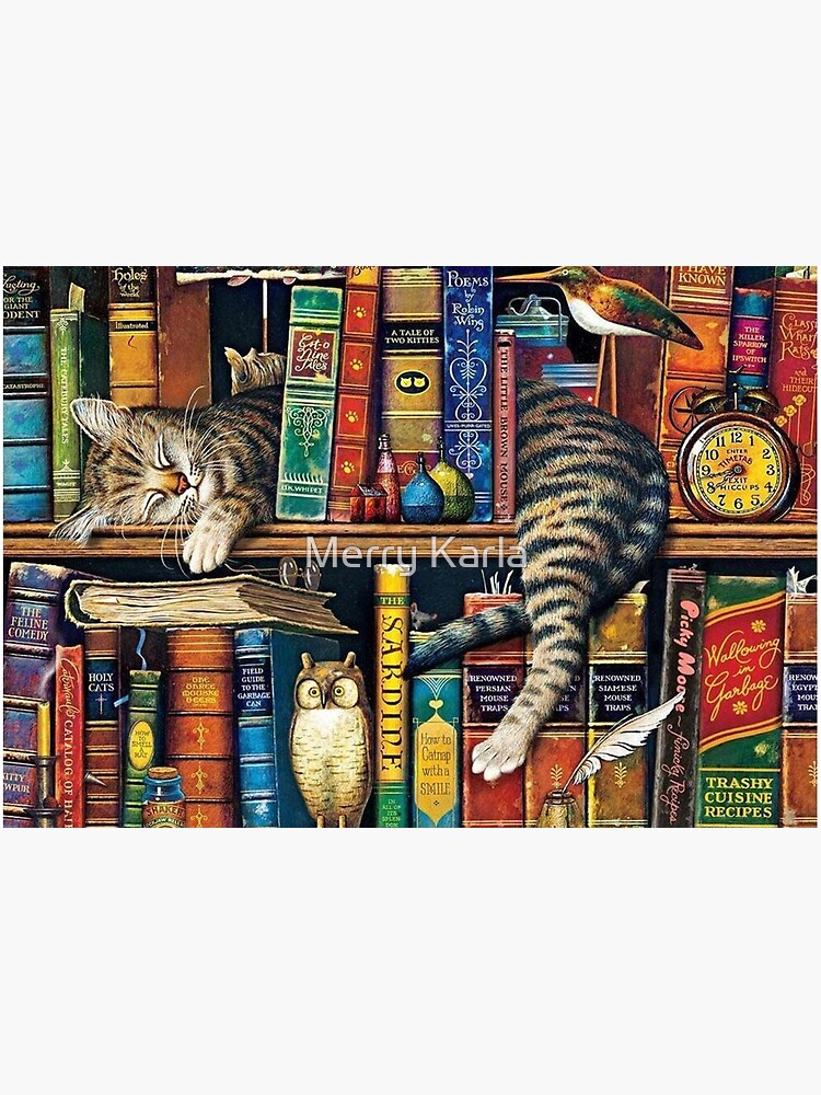 Bookshelf Cat, Library cats by AmimodT