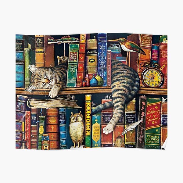 Bookshelf Cat, Library cats Poster