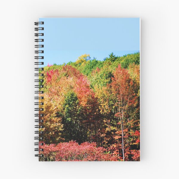 Item preview, AUTUMN IN NEWFIELD NEW YORK  designed and sold by JoAnnHayden.