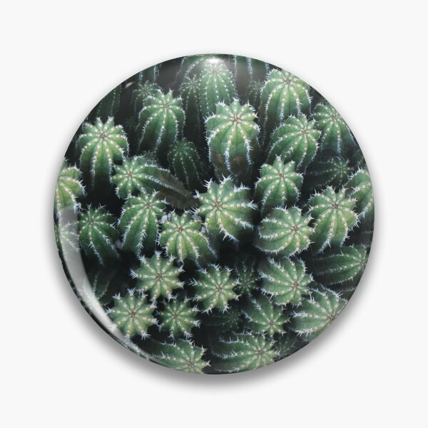 Item preview, Succulent Plants designed and sold by FiveDucklings.