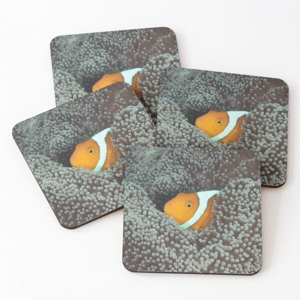 Item preview, White-bonnet Anemonefish designed and sold by Mark Rosenstein.