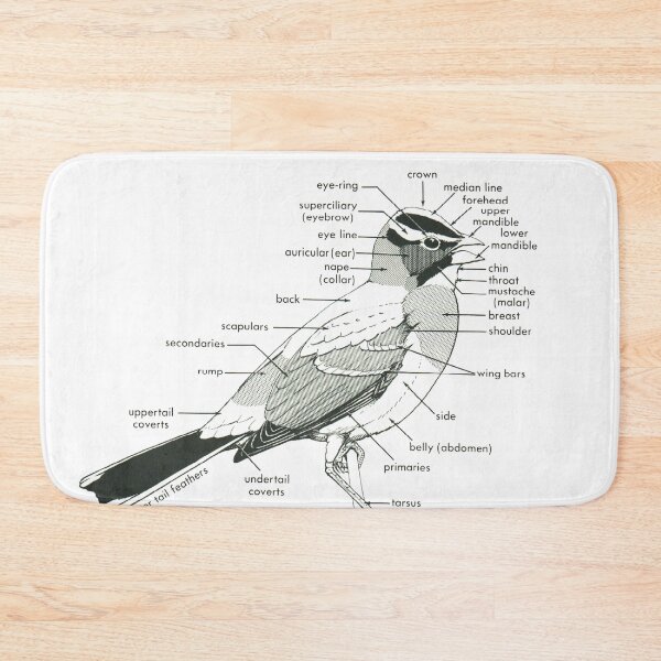 Item preview, Topography of a Bird - Vintage Ornithology Illustration designed and sold by elevens.