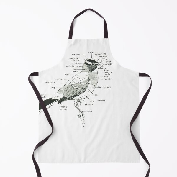 Item preview, Topography of a Bird - Vintage Ornithology Illustration designed and sold by elevens.