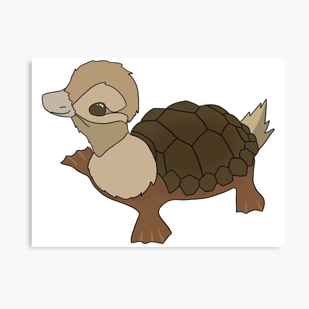 Turtle Duck (Avatar)  Animated Steam Artwork by DryreL on DeviantArt