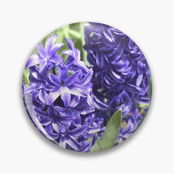 Item preview, Purple Hyacinth designed and sold by Kathleen Brant.