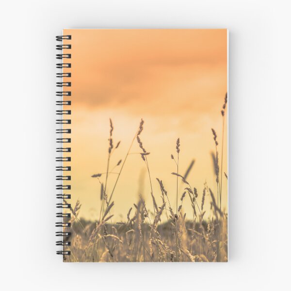 Item preview, Field plants and sunset designed and sold by Stéphane  Thirion.