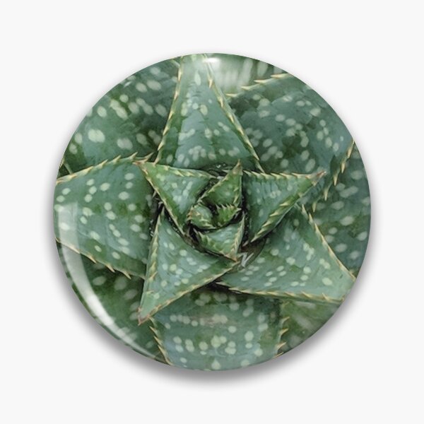 Item preview, Aloe Maculata Original designed and sold by PLANTONE.