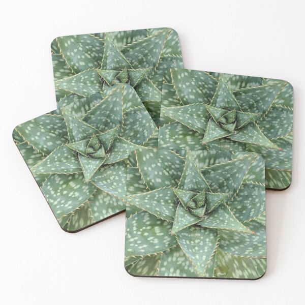 Item preview, Aloe Maculata Original designed and sold by PLANTONE.
