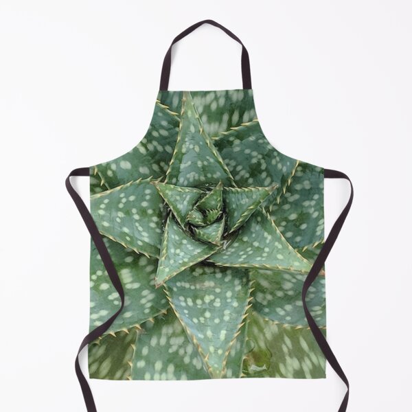 Item preview, Aloe Maculata Original designed and sold by PLANTONE.