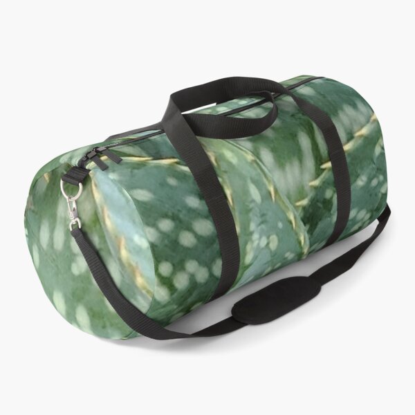 Item preview, Aloe Maculata Original designed and sold by PLANTONE.
