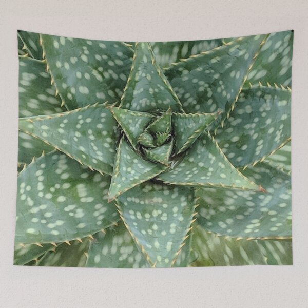 Item preview, Aloe Maculata Original designed and sold by PLANTONE.
