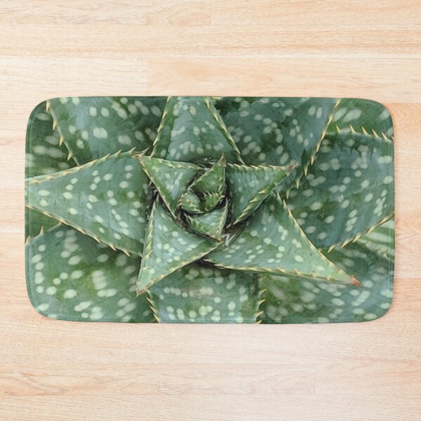 Item preview, Aloe Maculata Original designed and sold by PLANTONE.