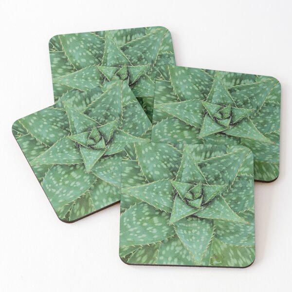 Item preview, Aloe Maculata Neo designed and sold by PLANTONE.