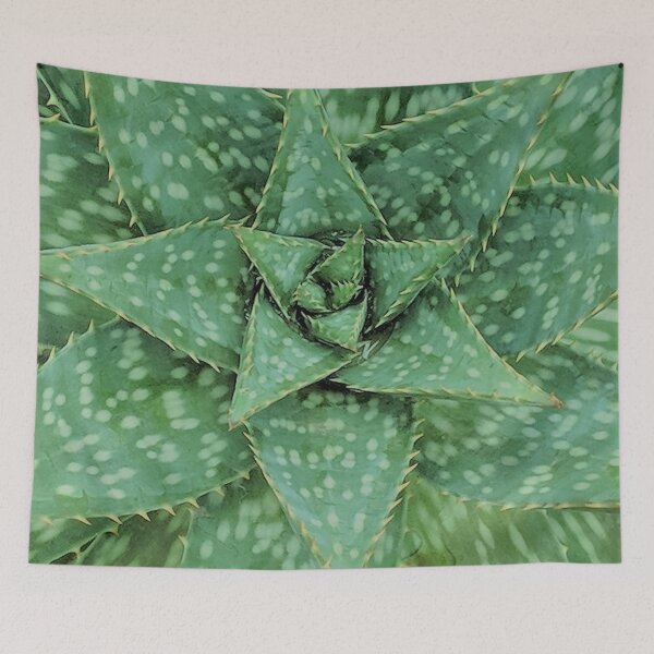 Item preview, Aloe Maculata Neo designed and sold by PLANTONE.