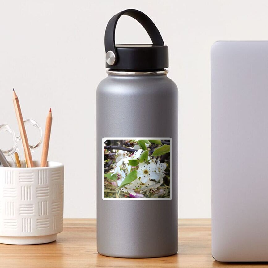 Apple blossom Sticker