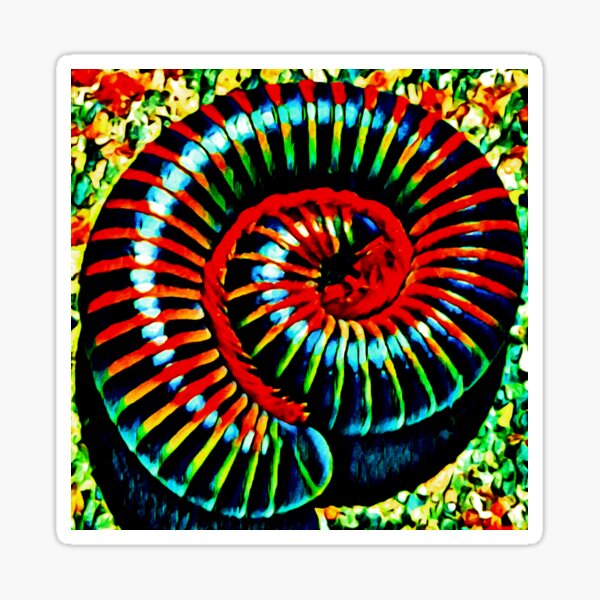 On Fibonacci We Are Built Sticker