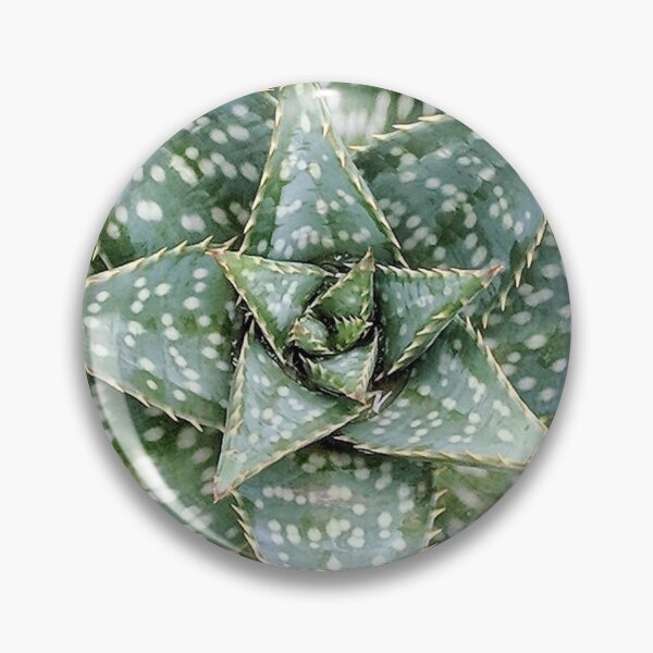 Item preview, Aloe Maculata Enhanced designed and sold by PLANTONE.