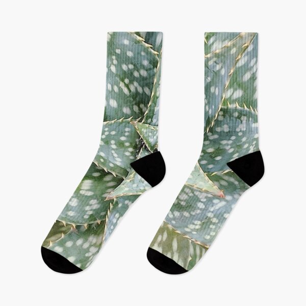 Item preview, Aloe Maculata Enhanced designed and sold by PLANTONE.